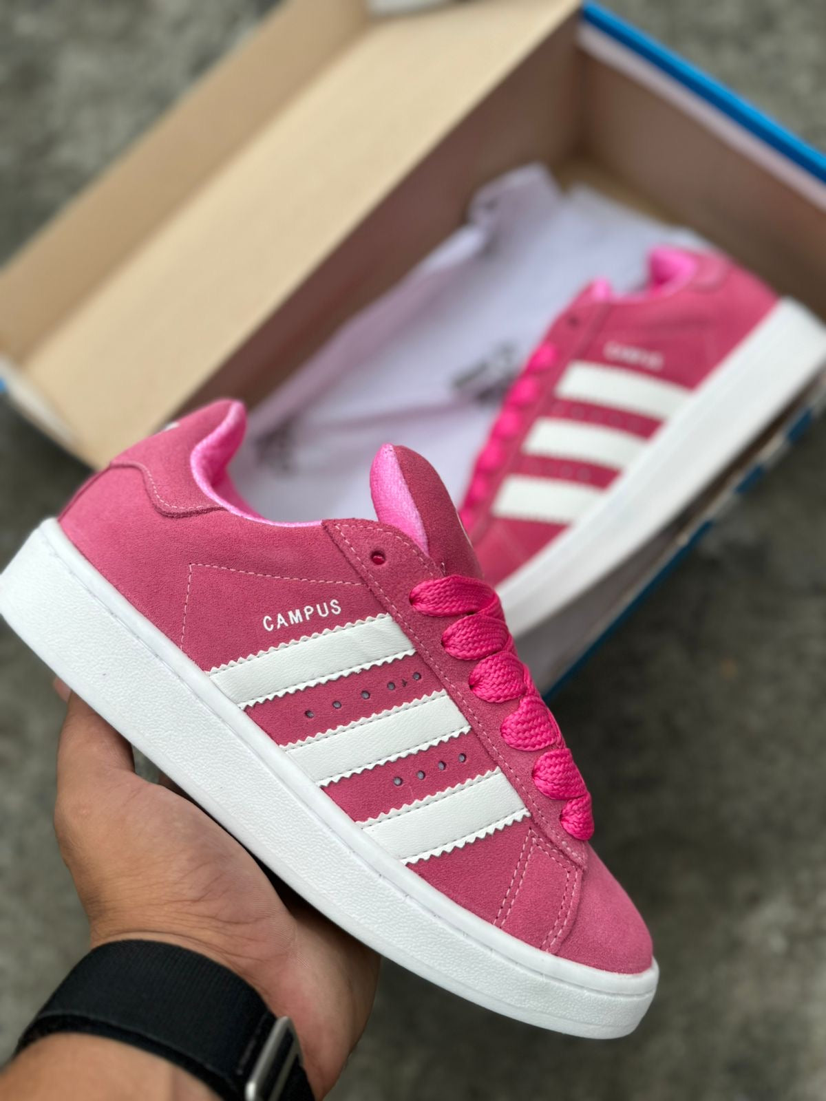 Campus 00's "Pink" 🇧🇷